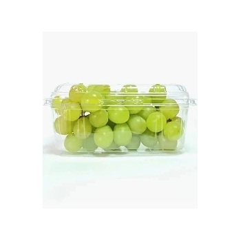 Gf 501 Cumbuca Para Frutas 500G Galvanotek (500 UN)